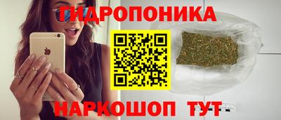 крисы Конаково